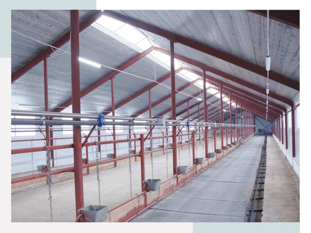 Строительство коровников в Урюпинске от 618 руб.