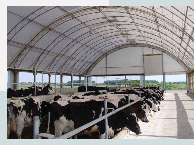 Тентовые коровники в Урюпинске